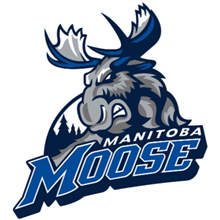 Manitoba Moose Scores & Standings