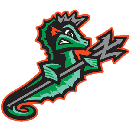 Norfolk Tides Scores & Standings