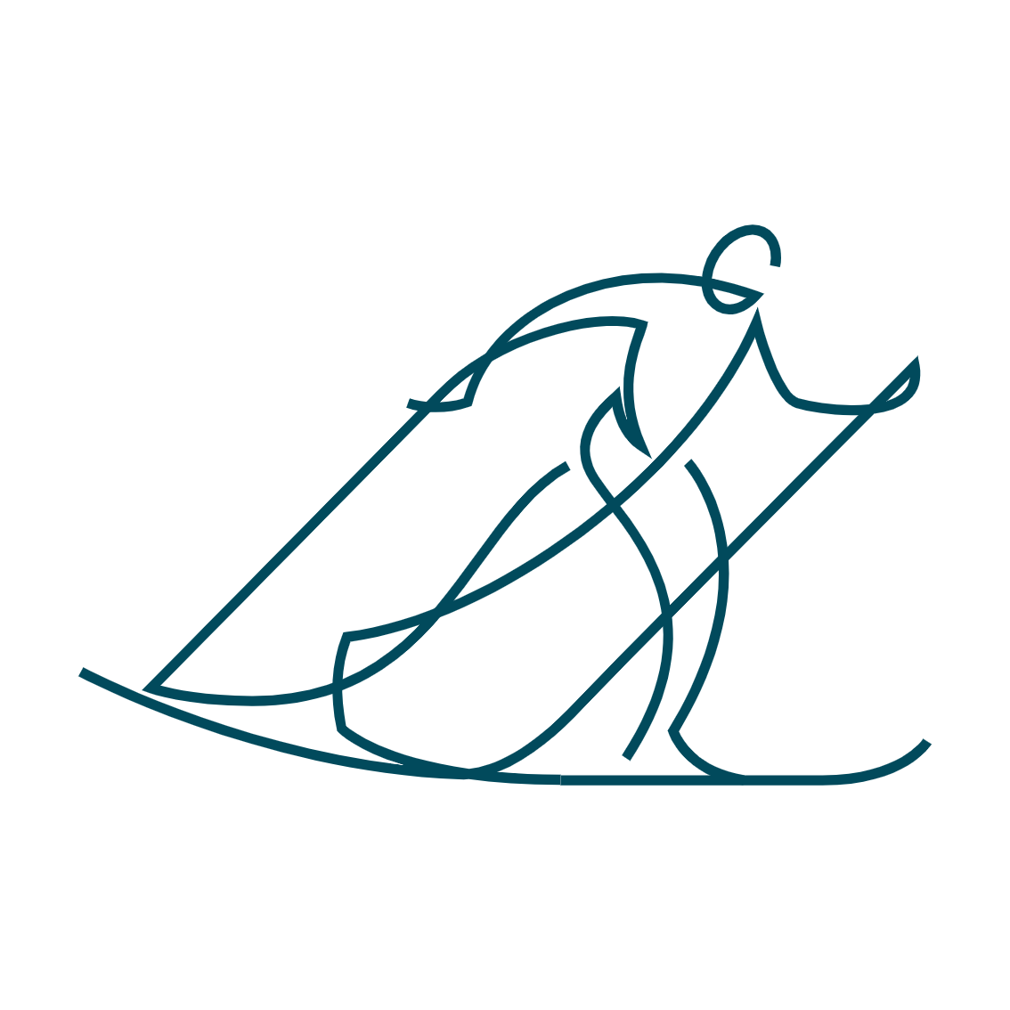 Cross-country Skiing